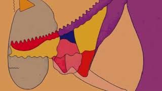 Anfa Rose - All I Need ft. Manu Crook$