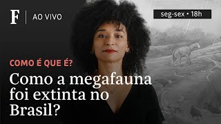 Miniatura do vídeo