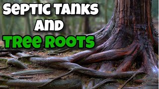 Septic Tanks And Tree Roots