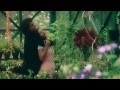 Dil Tujhpe Fida Full Video Song HD With Lyrics Hameshaa