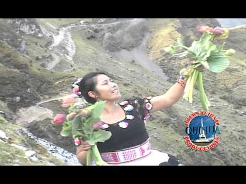 Vaquillonay - Haydee Pizarro 2013