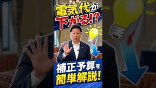 【1分でわかる政治】補正予算が成立！その内容とは？今回の動画は補正予算についてお伝えします！【解説動画】