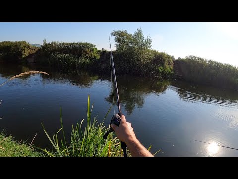 River Pike Fishing UK 🇬🇧 Quick lure fishing session.