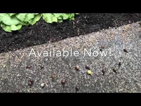 Fullaway® Slug-/Snail Repellent Granules NEW 2020 !Biocide PT19!