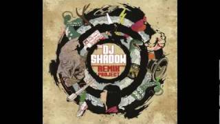 Dj Shadow : Building Steam With A Grain Of Salt (NiT GriT Mix)