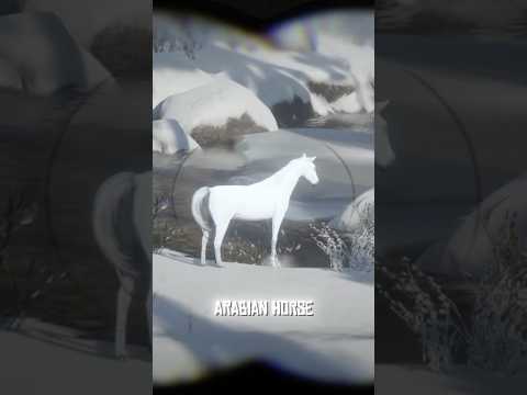 3 Things You MUST Do Early in Red Dead Redemption 2!