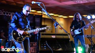 SHG Milano 2013 - Jimi Barbiani live