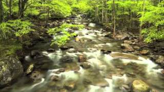 Ricky Skaggs Picture