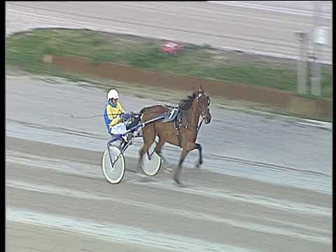 Trotto 23/03/2018 - prova di riqualifica