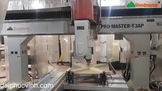 Woodmaster. MÁY GIA CÔNG TRUNG TÂM CNC 3D 3 Dao 5 Trục Promaster T3AP