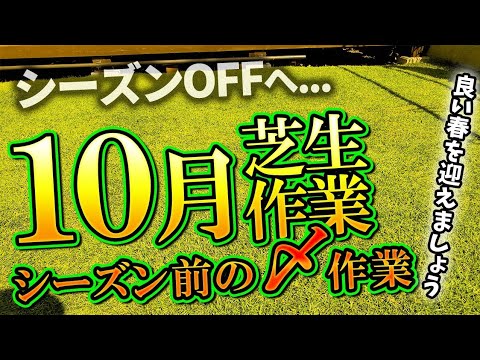 冬に芝刈りをするのは良いアイデアですか、それとも悪いアイデアですか?シンプルで実践的なアドバイスに従ってください。  庭園