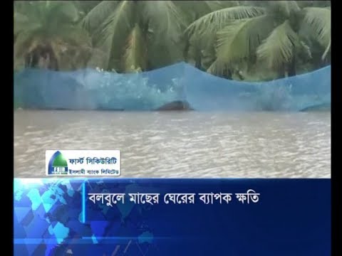 ঘুর্নিঝড় বুলবুলে প্রায় ৪৭ কোটি টাকার মাছ নষ্ট | ETV News
