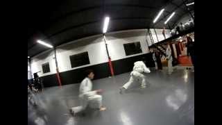 preview picture of video 'Jiu Jitsu - Treino com mestre faixa preta, Leandro Martins - Parte I'