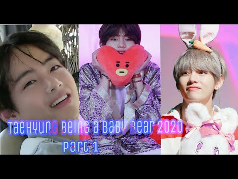 Taehyung being a baby bear 2020 edition (Part 1)