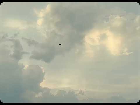 The art of static shot