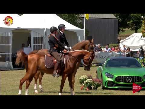 Elran Cup 2018 - Class 16