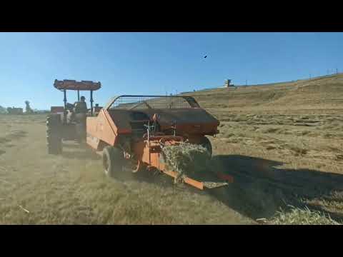 How To Make Grass İnto Hay Bales | Small Bale Hay Making | Tractors and Bale Wrapping