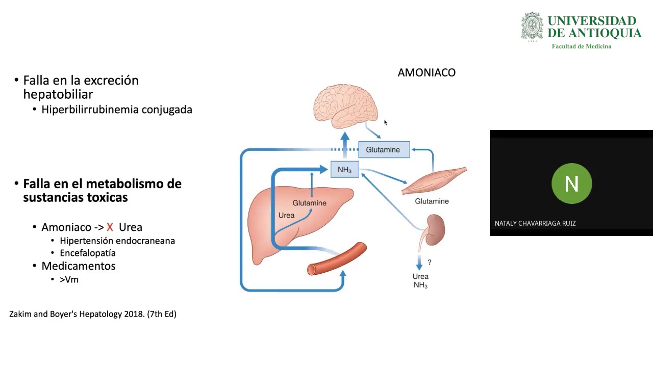 Nataly Chavarriaga Ruiz-26