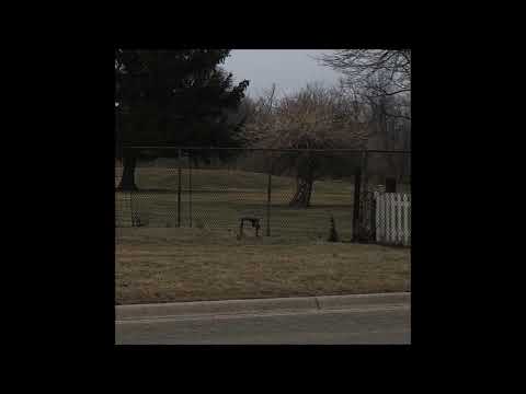 07. Bones & Dylan Ross - SharonTate (Produced by Greaf)