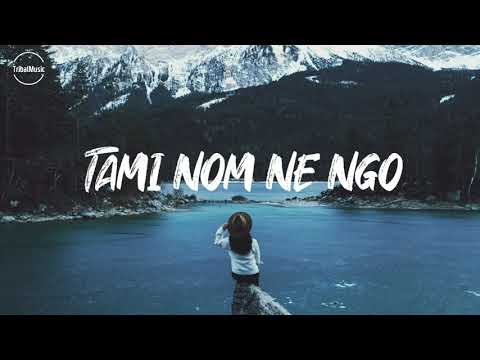 TAMI NOM NE NGO  (Lyrics)   |  Nikom Riba