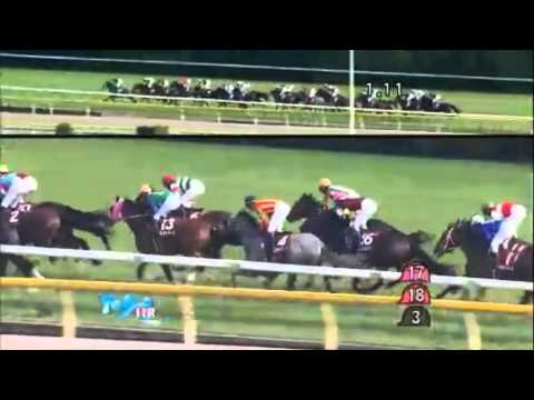 2014 Japanese Derby Trial G2