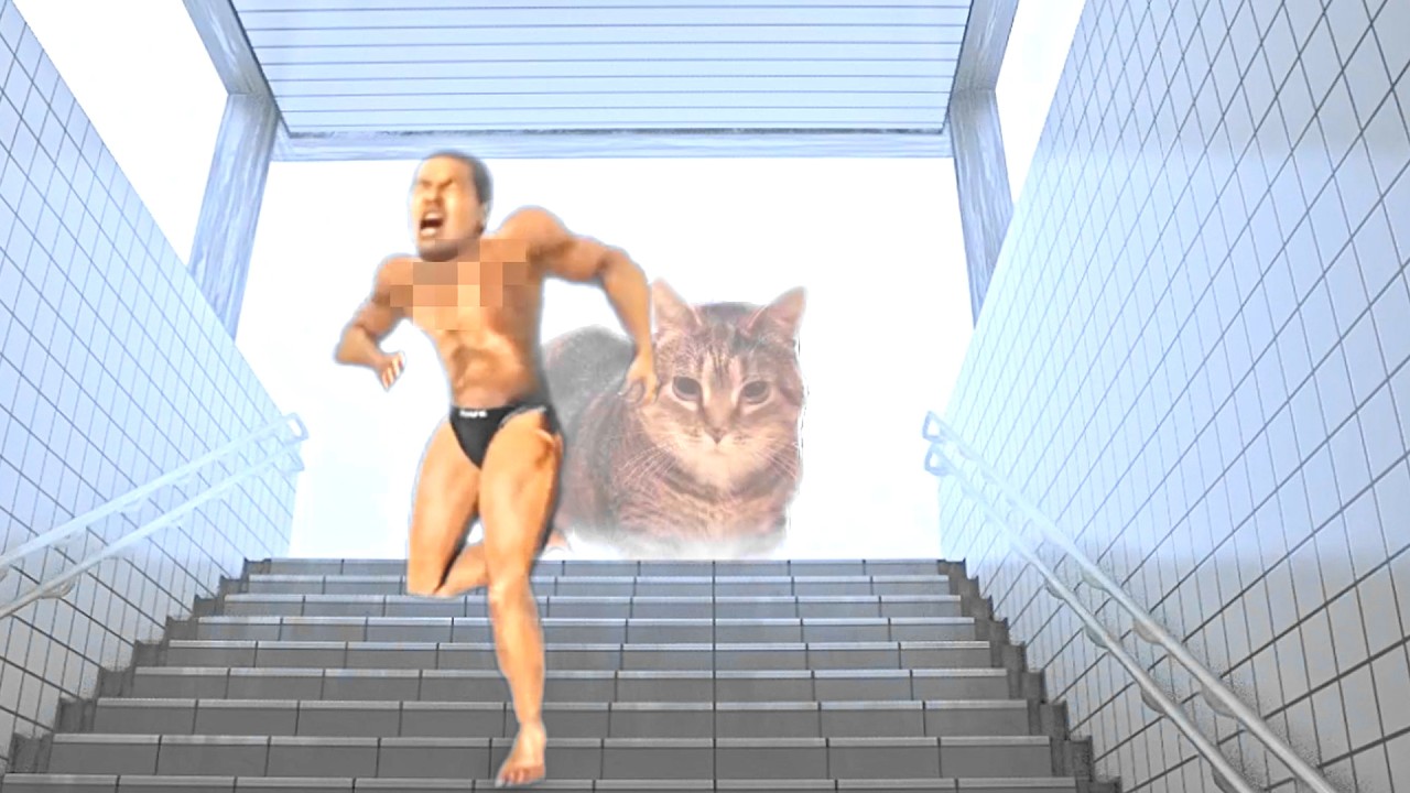 野獣先輩とかmemeを感じる動画（360°・VRなど）