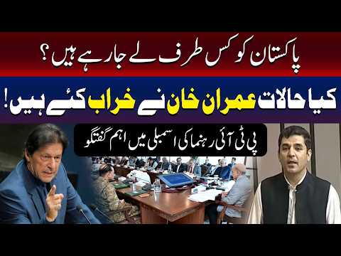 پاکستان کس سمت جا رہا ہے؟  پی ٹی آئی رہنما کی قومی اسمبلی میں گرج برس