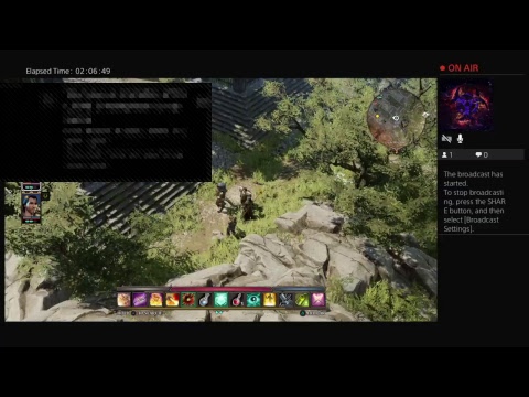Divinity: Original Sin 2 pt 55