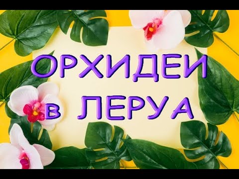 Леруа:ЗАВОЗ прекрасных ОРХИДЕЙ,10.06.21,ТЦ "Космопорт" (ул.Дыбенко),Самара.