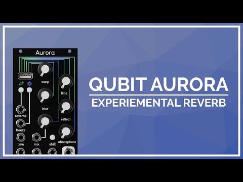 Qu-Bit Electronix Aurora 2025-Present - Black image 24