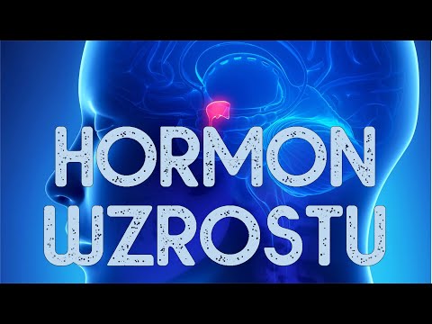 Hormony - hormon wzrostu