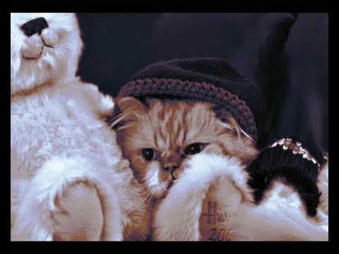 Louderbach -Shine- Thrill Cosby's remix