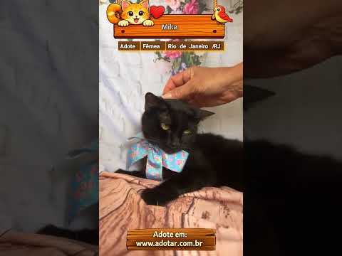 Vídeo de Mika 