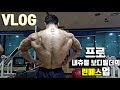 [Natural]3주차, 프로내추럴보디빌더의 린매스업 식단 Vlog