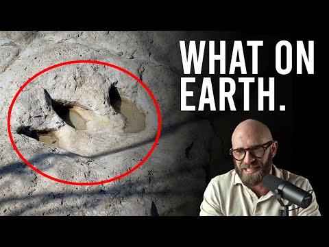 Paluxy River Prints: The Footprints That Defy Evolution