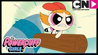 Powerpuff Girls Turn Into Animals! | Powerpuff Girls | Cartoon Network