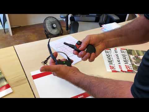 sit means sit remote