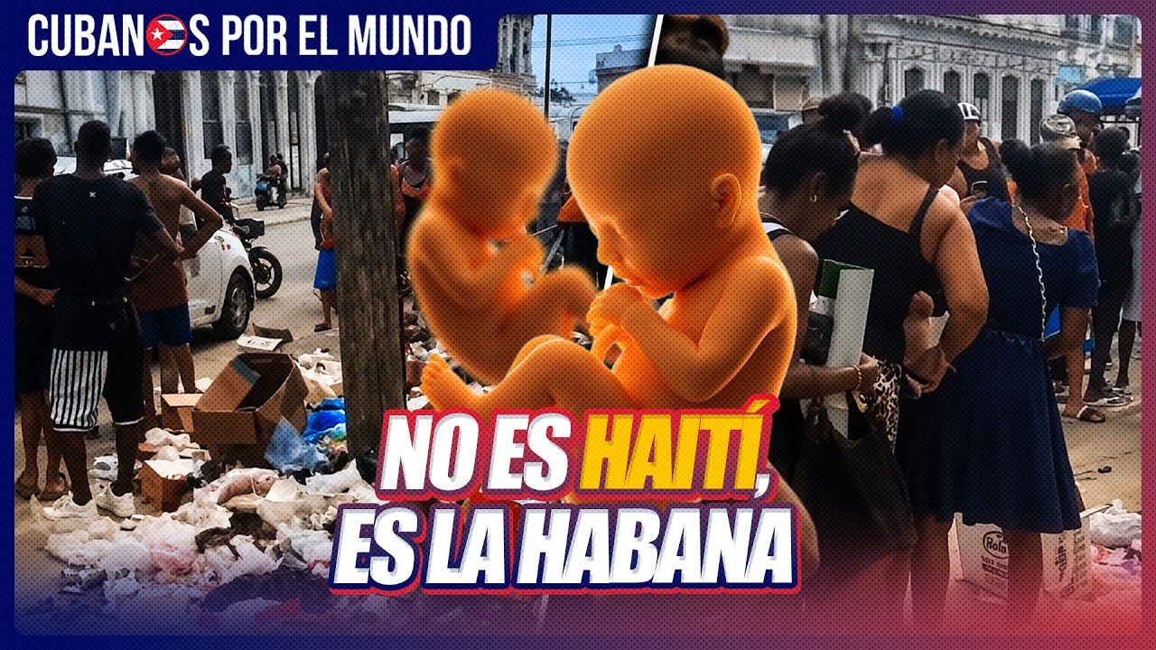 Dos fetos hallados en la basura en Centro Habana conmocionan a Cuba
