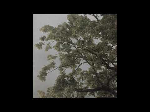 [sold] lil lotus x brennan savage x nothing,nowhere. type beat (p/ nevrfall)