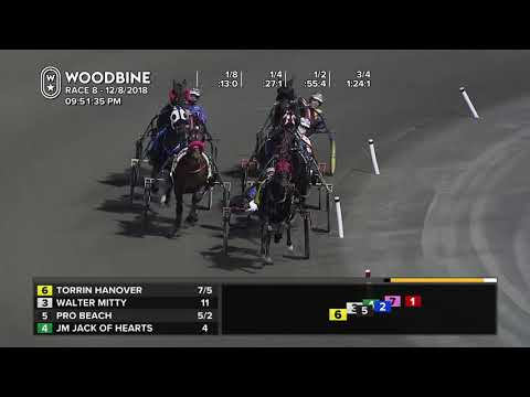 Woodbine, Mohawk Park, December 8, 2018 Race 8