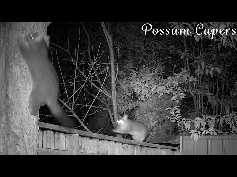 Second Night and Still no Baby With Raylene