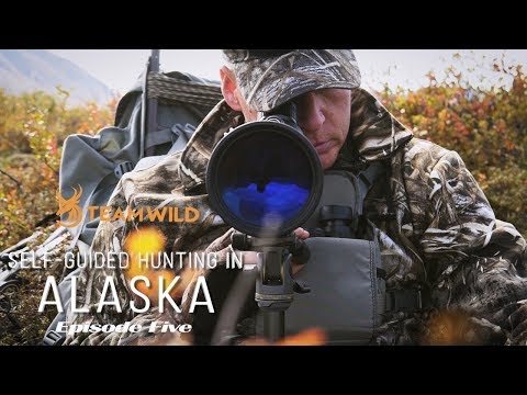 Self-guided Moose & Caribou Hunting in Alaska: Episode 5 - Moose Season Opens
