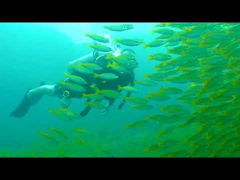 2018 1230 171432 037