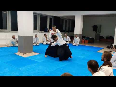 contact and using center, timing in Aikido techniques