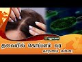 தலையில் கொப்பளம் வர காரணம் என்ன Dr M S UshaNan