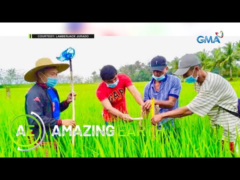 Amazing Earth: From OFW worker to farm school owner!