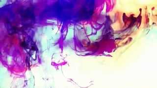 Frank Zappa - He Used To Cut The Grass - 1979