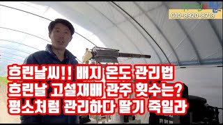 겨울 딸기 양액재배 고설재배 배드 온도 관리 그리고 흐린날 관주 횟수는? 모든 작물 토양 토경 재배에도 포함…