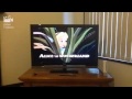 Opening And Closing To The Lion King 1995 VHS Australia Different Version