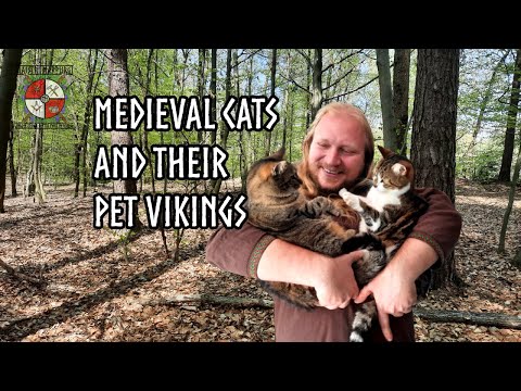 Medieval cats 🐈 and their pet Vikings ⚔️ | Maistri Marpurgi